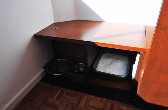 Cat Spot